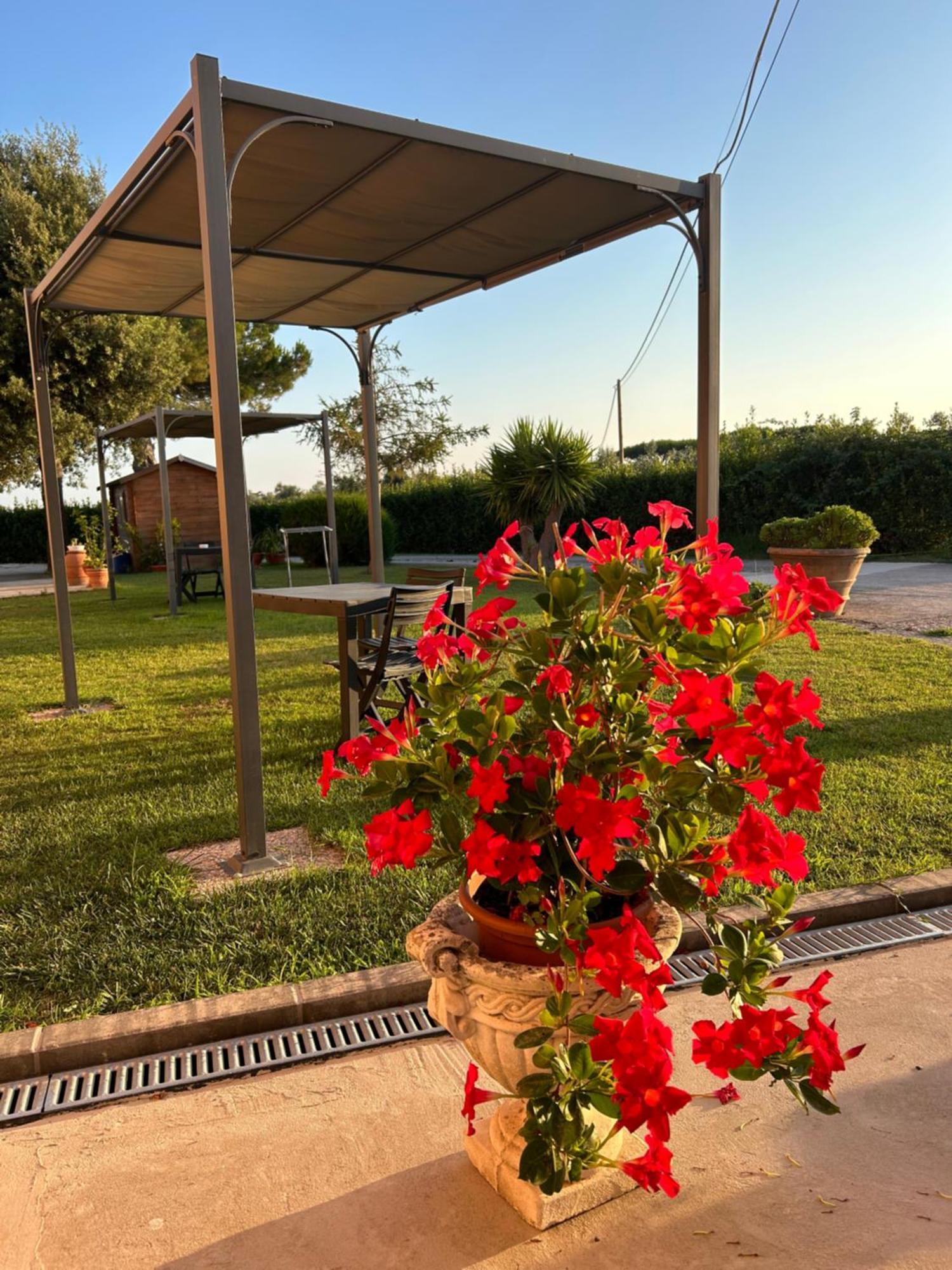 Agriturismo Da Michele E Carmela Di Voli Patrizia 도노라티코 외부 사진